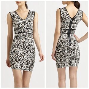 leopard cheetah print bandage knit mini night out party dress XS | fitted